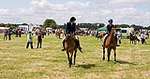 Wanborough Horse and Dog show